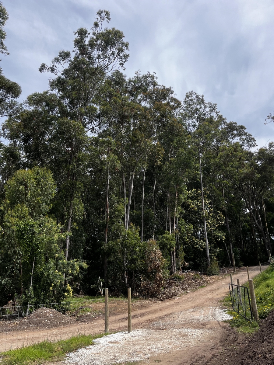 To Let 2 Bedroom Property for Rent in Plettenberg Bay Rural Western Cape
